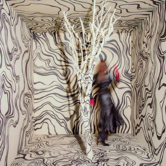 Revealer album cover