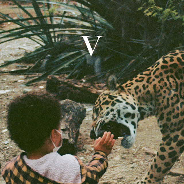 V album cover